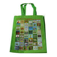 牡丹江LB11覆膜无纺布广告袋